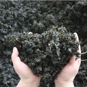 黄山地皮菜土特产 蔬菜 地衣干 农家野菜 地皮菜地木耳干食用