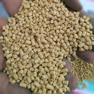 鸽粮鸽子饲料 颗粒鸽粮 熟化颗粒 适口性好营养全面易吸收 多规格