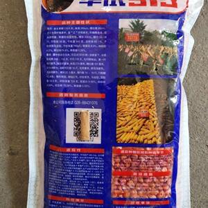 华试玉919牛脑壳马nyj玉米 种子鸡饲料米种子抗倒棒大满尖轴红齿