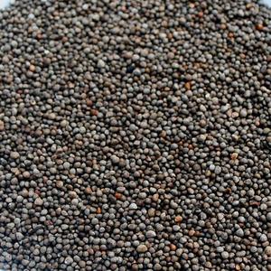 2022新品【2斤】贵州特产酥麻籽苏麻子农家自种油性新苏子包汤圆