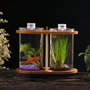 斗鱼鱼缸隔离玻璃小型