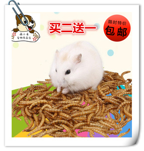 用品音乐面包虫干黄粉虫零食熊孕期高蛋白龟粮鸟金丝50g刺猬饲料苍蝇最怕的仓鼠图片