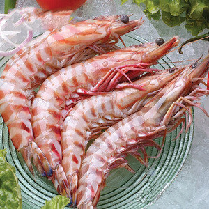 特大号4头东海大明虾竹节斑节九节虎对虾冷冻海鲜礼品孩子爱吃