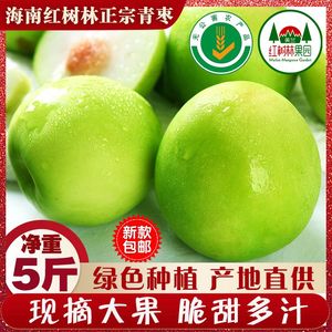 海南大青枣5斤10斤现货包邮红树林基地绿色食品蜜枣苹果枣大果