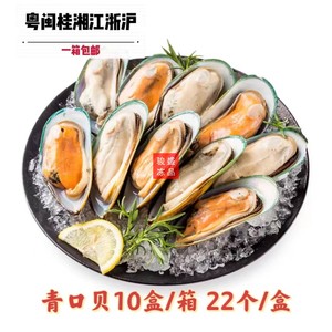 一箱半壳青口贝20斤新鲜冷冻海鲜贝类大贻贝海虹淡菜火锅广东包邮