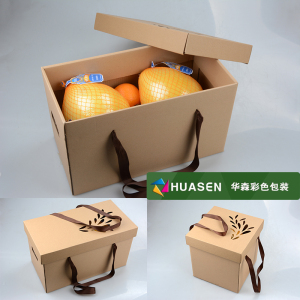 柚子蜜柚包装盒文旦榴莲包装礼盒水果包装箱DIY五层瓦楞盒现货