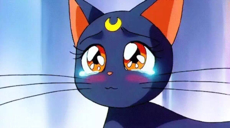 淘宝天猫店铺销量数据查询预估