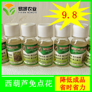 西葫芦免点花西葫芦座果授粉药灵王坐果灵南瓜丝瓜通用授粉药包邮