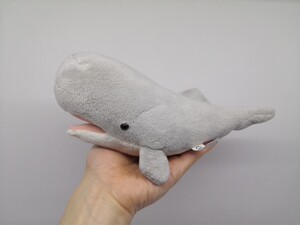 出口外贸仿真海洋动物可爱抹香鲸 鲸鱼宝宝毛绒玩具公仔儿童教具