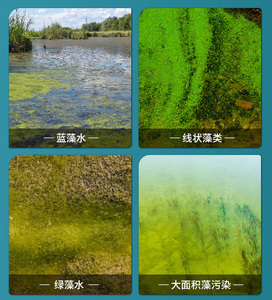 蓝藻速灭清除泥皮丝苔水绵绿箦小球狐尾藻青苔净虾塘鱼塘水产养殖