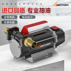 卡维特电动抽油泵12V24V220V伏柴油自吸泵计量加油枪小型加油机器