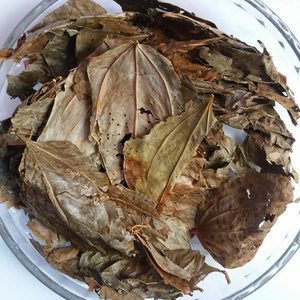 井冈山特产野生菝葜叶金刚藤叶金刚刺叶铁菱角叶马加勒叶无农药