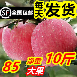新鲜烟台栖霞红富士苹果水果条纹脆甜10斤85包邮当季山东萍果吃的