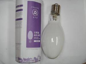 上海世纪亚明 1923 自镇流高压汞灯gyz125W160W250W450W 自汞灯泡