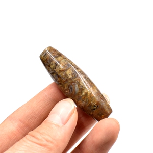 法螺天珠西藏腹足蜗牛化石打磨桶珠古生物化石饰品吊坠科普教学标