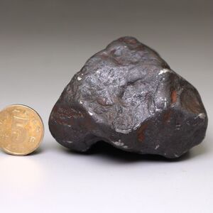 保真阿根廷campo del cielo铁陨石原石陨铁天铁摆件天然陨石284克