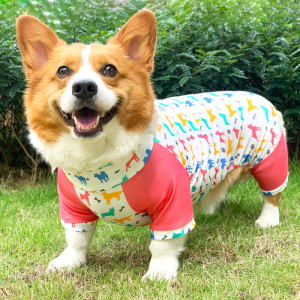 狗狗衣服夏季薄款柯基专用四脚衣防掉毛防尘速干比熊柴犬四脚服