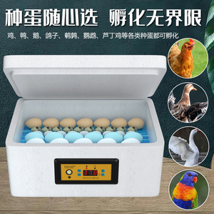 孵化器小型家用水床孵化器全自动智能鸭鹅鸽子芦丁鸡孵蛋器家用型