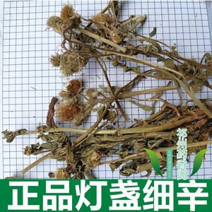 中药材 灯盏细辛 灯盏花 灯盏草 500克新货包邮