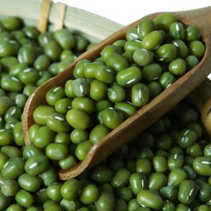 小米地 小绿豆 云南高原特产五谷杂粮粥农家自产500g