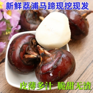 广西桂林荔浦特产 大果 现挖新鲜自种水果马蹄荸荠   15-20个1斤