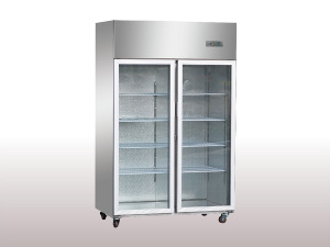 立德德宝盛宝二门冷藏陈列柜立式水果双门饮料冰柜冷柜冰箱展示柜