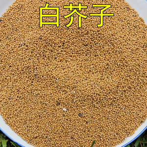白芥子