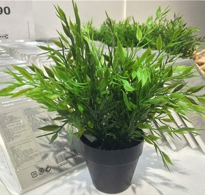 【IKEA宜家国内代购】 菲卡 人造盆栽植物, 仿真绿植盆栽 文竹
