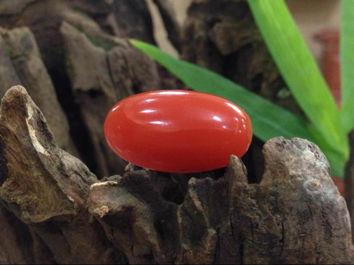 保山原矿南红玛瑙塔链亮光柿子红极少裂肉质颜色均匀0.41.1重50