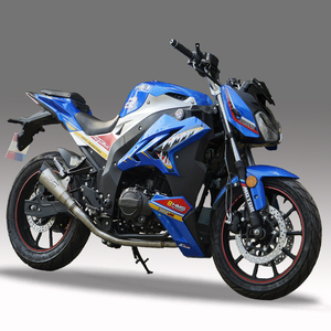 全新宝雕单r街车 国产摩托车跑车200cc力帆机车川崎双缸水冷450cc