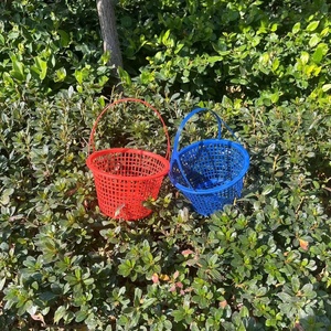 草莓篮子手提1-10斤一次性塑料水果篮桑葚樱桃杨梅采摘筐厂家直销