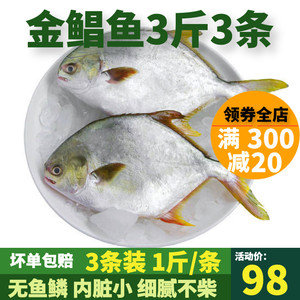 肉厚刺少鲜活冷冻大金鲳鱼3斤3条昌鱼平鱼海鲜鲜活水产青岛水产