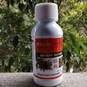 果树肥料粟安梅葆杨梅膨大剂有机水溶肥果粒增大增硬汁多脆甜靓黑
