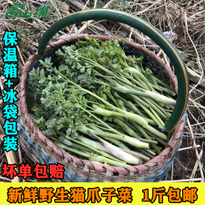 新鲜猫爪菜4斤包邮顺丰航空牛膝菜东北山野菜野生猫爪子菜山野菜