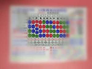 2022年/虎年/12生肖表/十二生肖卡/新款卡片/生肖排期表/对照表