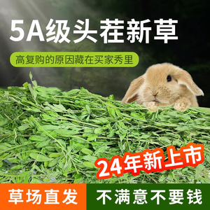 苜蓿草兔子草烘干干草兔子食用草龙猫粮食兔粮饲料主粮荷兰猪牧草