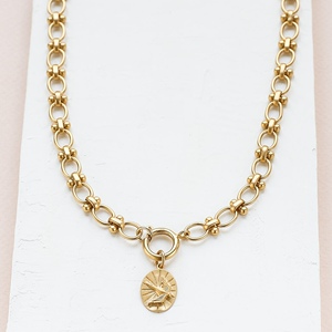 以色列设计师shlomit 镀金复古燕子椭圆锁骨项链 audrey