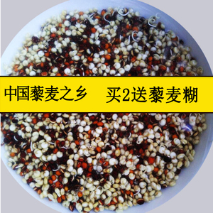 【促销】家一三色藜麦米白黑红藜麦黎麦500g 送食谱