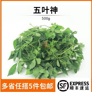 新鲜蔬菜 野菜 五叶神 参 绞股蓝 七叶胆 福音草 煲汤食材500g