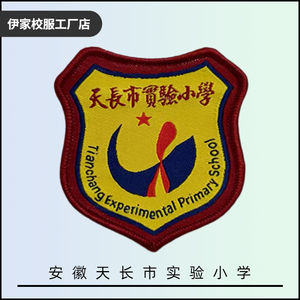 【校徽校服】安徽省天长市实验小学  英伦学生春秋运动短袖