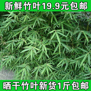 新鲜竹子叶竹叶竹叶尖竹枝条 草药材 竹叶茶竹子竹竿根茎现采现发