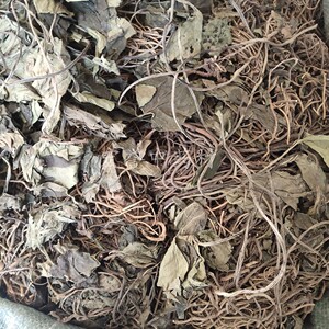 【中药金耳环】中药金耳环品牌,价格 - 阿里巴巴