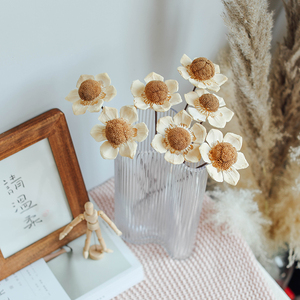 天然植物松果球手工果实果壳创意干花装饰摆件北欧家居饰品松桐果
