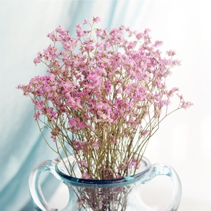 【云南干花水晶草】云南干花水晶草品牌,价格 - 阿里巴巴