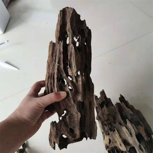 草缸造景虾木自然躲避屋龙骨木10-40cm镂空沉木