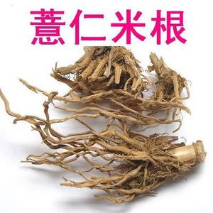 包邮- 薏仁米根/薏苡仁根/薏米仁根 薏仁根打碗子根 500克