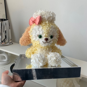 新款迪士尼曲奇狗饼饼cookie永生花镜面亚克力礼盒送女友生日闺蜜