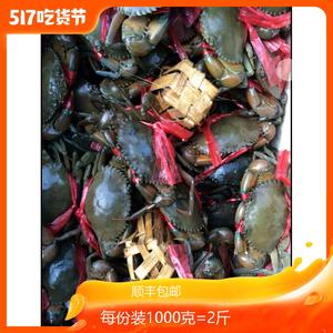 公蟹 每只17元 单个重100克  1公斤装10只 缅甸鲜活螃蟹青蟹肉蟹