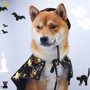 狗狗套装衣服