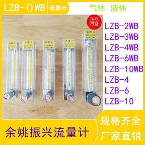 振兴流量计LZB-2/3/4/6/10WB LZB-4/6/10玻璃转子浮子 气体液体用